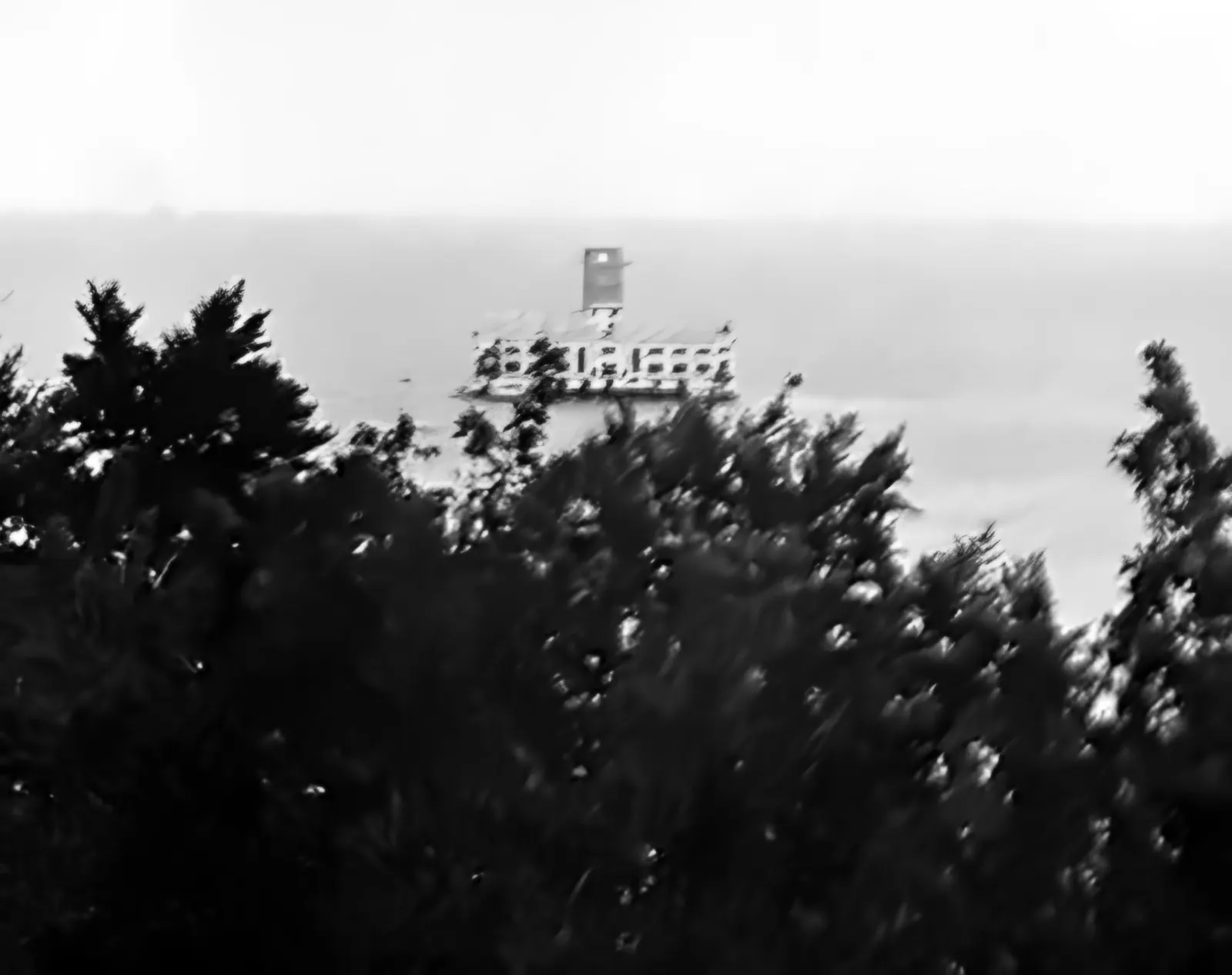 Die Ruine des Schießstandes im Meer, vom Steilufer zwischen Bäumen gesehen